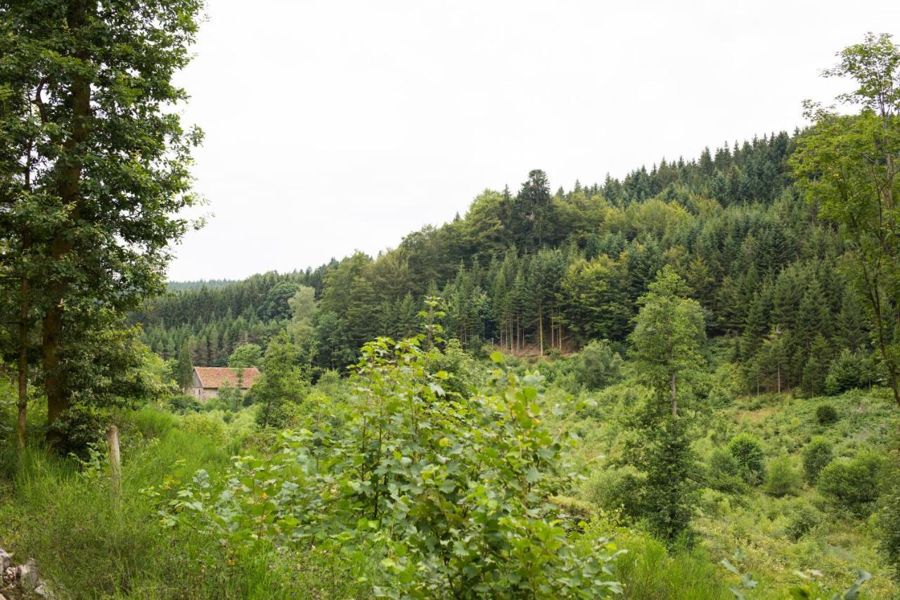Europe Tents Camping Domaine Des Messires Herpelmont Eksteriør bilde